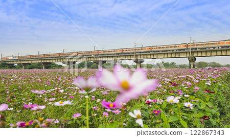 屏東下淡水溪舊鐵橋 122867343