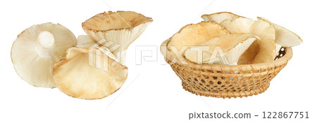 fresh milk cap boletus mushroom in a wicker basket isolated on white background. Top view. Flat lay 122867751