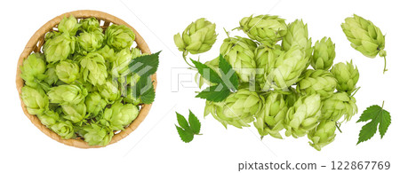 Hop cones in wicker basket isolated on white background. Beer brewing ingredients. Top view. Flat lay 122867769