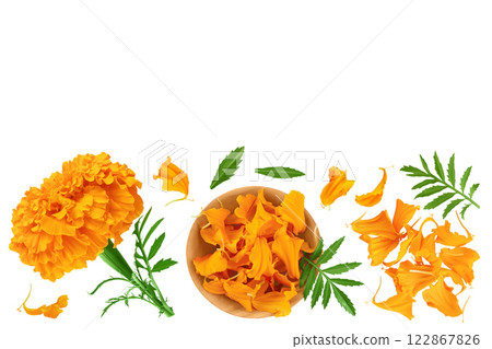 fresh marigold or tagetes erecta flower isolated on white background with full depth of field. Top view with copy space for your text. Flat lay 122867826