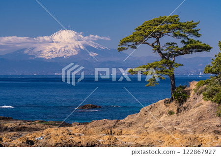 Mount Fuji in winter as seen from Tateishi Park, Kanagawa Prefecture 122867927
