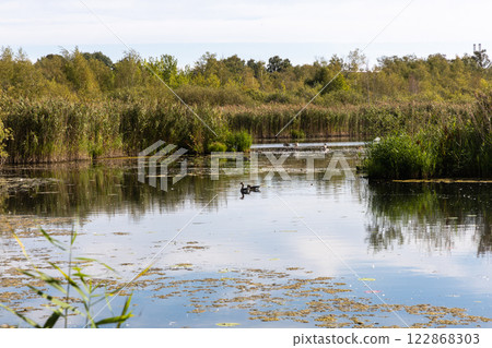 Beautiful landscape with lake in forest on autumn day 122868303