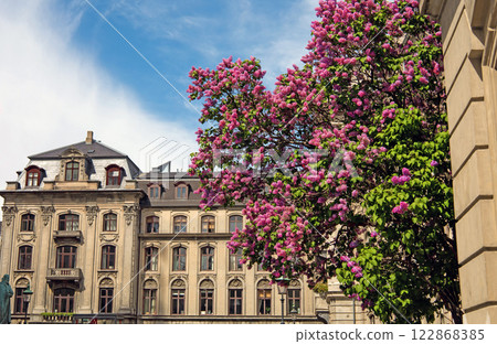 A Beautiful building in the center of Copenhagen and a large lilac bush. Copenhagen in spring. 122868385
