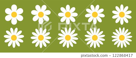White Daisy Chamomile on green background, floral illustration with Chamomile flowers of different petal counts 6 to 15. Summer nature design for textiles, prints 122868417