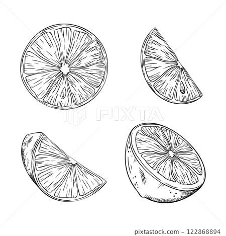 Set of Lemon or lime slice. Vector illustration. Sketch hand drawn. Half tropical citrus fruit. Design for menu, package, cosmetic, textile, cards Set of Lemon or lime slice. Vector illustration. Sketch hand drawn. Half tropical citrus fruit. Design for menu, package, cosmetic, textile, cards 122868894