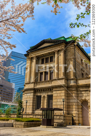 Cherry blossoms in front of the Bank of Japan Head Office, Chuo Ward, Tokyo Cherry blossoms in front of the Bank of Japan Head Office, Chuo Ward, Tokyo 122869300