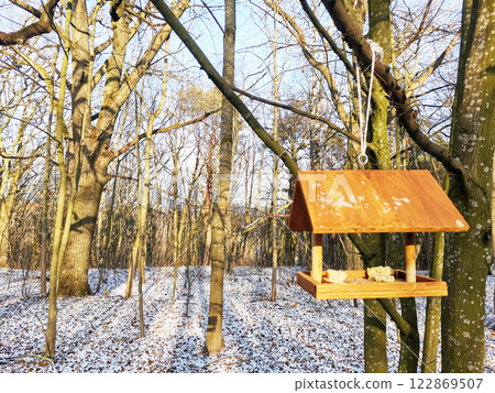 Wooden eco bird feeder in the winter forest 122869507