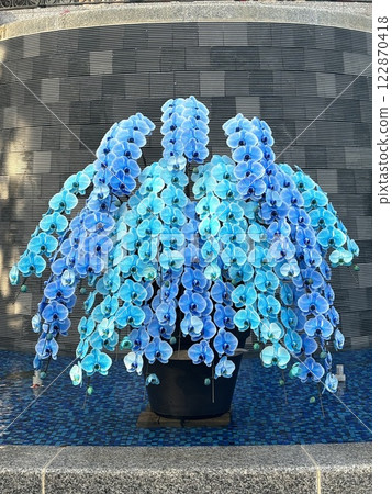 曼妙的藍色舞蹈 122870418