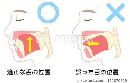 如何正確喵喵叫：正確且不正確的舌頭位置 122870519
