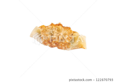 Fried Japanese Gyoza Dumplings with meat and vegetables isolated on white background. top view Fried Japanese Gyoza Dumplings with meat and vegetables isolated on white background. top view 122870793