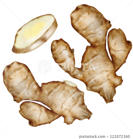 Ginger root set Watercolor. Hand drawn realistic hot spice. Clip art botanical illustration. Ideal for spice logo, cookbooks and natural cosmetics 122872160