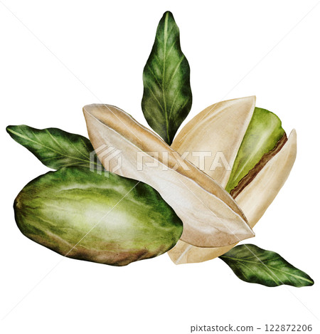 Pistachio watercolor. Hand drawn nut composition with shell isolated on white background. Realistic snack clip art. Ideal for logo, product packaging, banner 122872206
