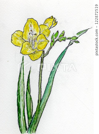 Hand-drawn illustration Freeger 122872519