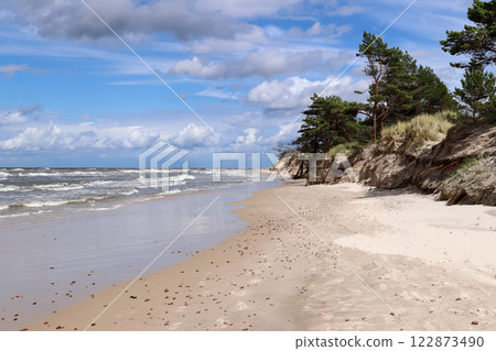 Baltic Sea coast and wild beach next to moving dunes in the Slovincian National Park 122873490