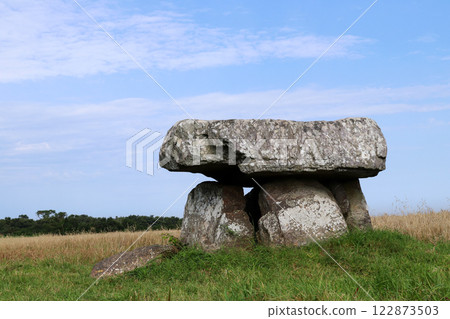 Dolmen of Menez Lie, historical monument of France 122873503