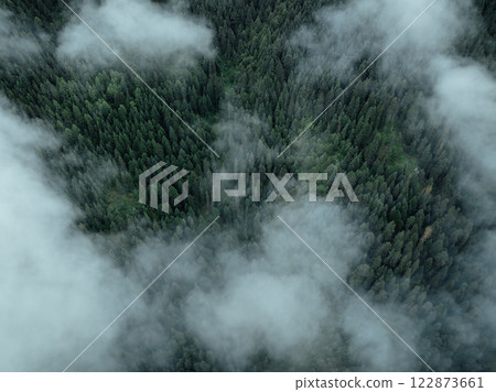 Aerial view of beautiful high altitude forest mountain landscape 122873661