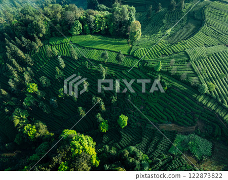 Aerial view of tea terrace landscape in China 122873822