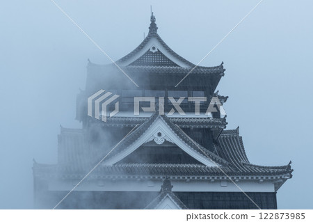Rainy Kumamoto Castle 122873985