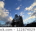 Blue sky with clouds and silhouette of nature 122874029