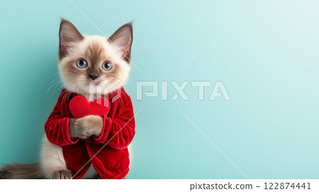 Cute Siamese cat wearing red velvet blazer, holding red heart against mint green background, radiating warmth and affection 122874441