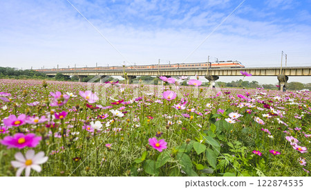 屏東下淡水溪舊鐵橋 122874535