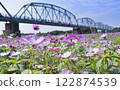Pingtung Xiadanshui River Old Iron Bridge 122874539