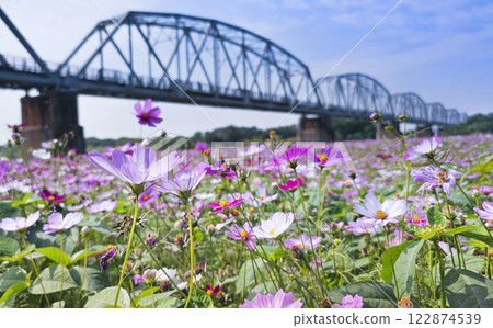 屏東下淡水溪舊鐵橋 屏東下淡水溪舊鐵橋 122874539