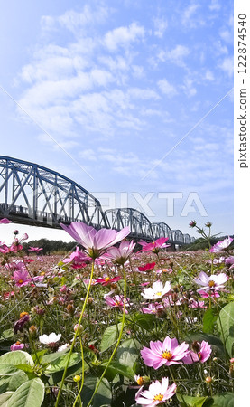 Pingtung Xiadanshui River Old Iron Bridge Pingtung Xiadanshui River Old Iron Bridge 122874540