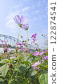 Pingtung Xiadanshui River Old Iron Bridge 122874541