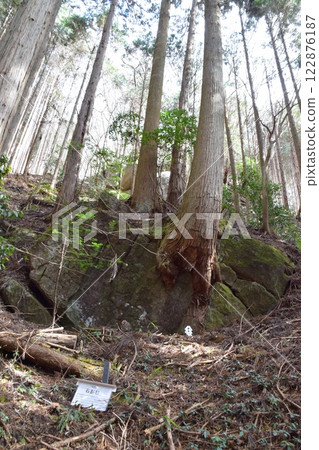 Mount Tateha Mount Tateha 122876187