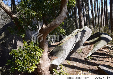 Mount Tateha Mount Tateha 122876216