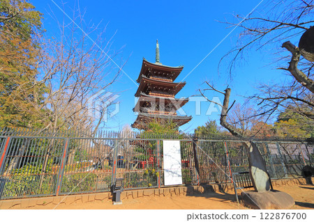 東京台東區舊寬永寺五重塔的風景 東京台東區舊寬永寺五重塔的風景 122876700