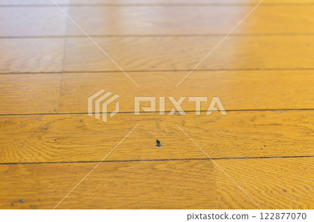 Floor wax application repair Floor wax application repair 122877070