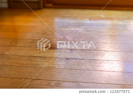 Floor wax application repair 122877071