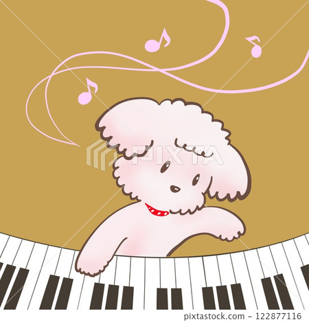 一隻玩具貴賓犬快樂地彈鋼琴的插圖 122877116