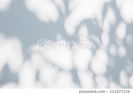 Abstract natural tree leaves shadow on white wall background 122877256