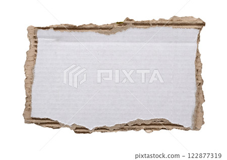 piece of white paper tear isolated on white background 122877319