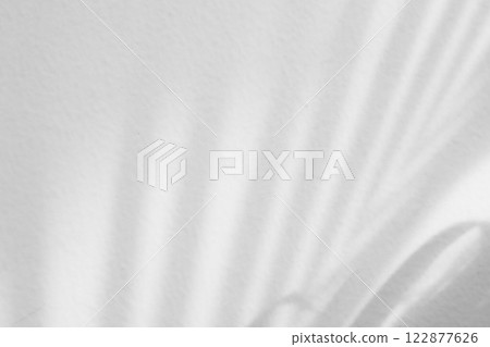 Abstract natural palm tree leaves shadow on white wall background 122877626