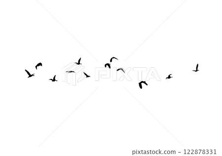 Bird sillhouette Flock black birds. Flocks of flying pigeons isolated on white background. Save with clipping path. flying birds formation of pigeons many isolated for backgound Bird sillhouette Flock black birds. Flocks of flying pigeons isolated on white background. Save with clipping path. flying birds formation of pigeons many isolated for backgound 122878331
