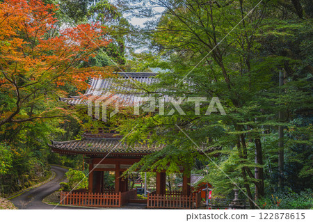 濱松市法光寺山門（紅門）前的紅葉美景（靜岡縣） 122878615