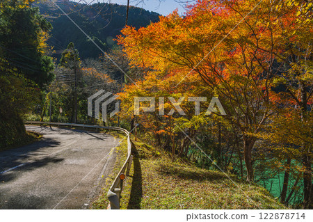 Autumn leaves and road scenery at Shin-Toyone Dam in Toyone Village (Aichi Prefecture) 122878714