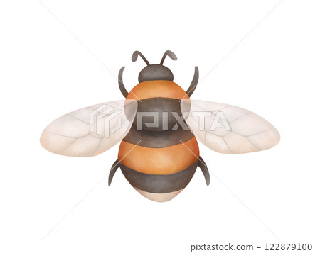 Bumblebee flying, top view. Garden insect illustration isolated on white. Stylized hand drawn design element. Bumblebee flying, top view. Garden insect illustration isolated on white. Stylized hand drawn design element. 122879100