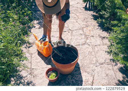 When transplanting plants, it is necessary to water the soil. The brunette is going to transplant plants into a clay pot. Pot with young plants, work in the summer garden. High quality photo When transplanting plants, it is necessary to water the soil. The brunette is going to transplant plants into a clay pot. Pot with young plants, work in the summer garden. High quality photo 122879529