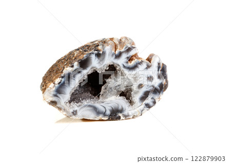 Macro mineral stone agate kidney gerbera 122879903