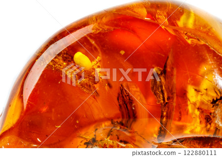 Macro Amber mineral stone with spider on white background 122880111