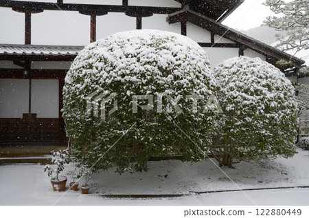 Snow-covered Nanzenji Temple, Nanyoin Temple grounds, Sakyo Ward, Kyoto City 122880449