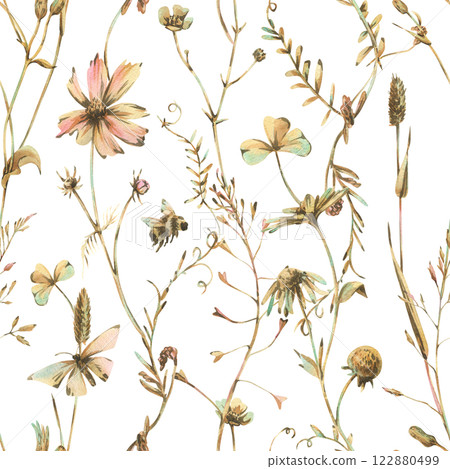 Field, meadow, wild flowers and herbs cosmos, chamomile, clover and insects. Watercolor illustration hand drawn in beige, brown and ocher colors. Seamless pattern on a white background Field, meadow, wild flowers and herbs cosmos, chamomile, clover and insects. Watercolor illustration hand drawn in beige, brown and ocher colors. Seamless pattern on a white background 122880499