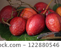 收穫成熟的樹番茄 收穫成熟的樹番茄 122880546