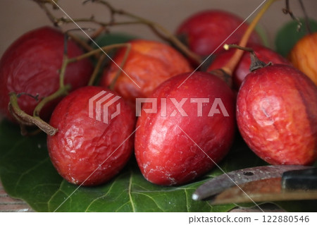 Harvested ripe tamarillos Harvested ripe tamarillos 122880546
