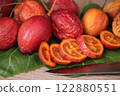 收穫成熟的樹番茄 收穫成熟的樹番茄 122880551